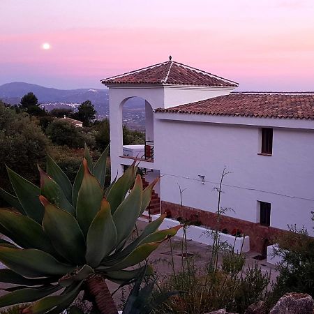 Casa Arts Guest Rooms Alcaucin Bagian luar foto